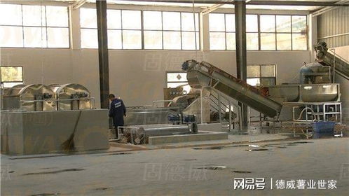 不同厂家的红薯淀粉加工设备究竟有哪些不同 怎样筛选不入坑